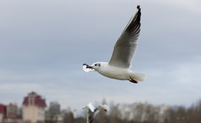 Similar image 1024613