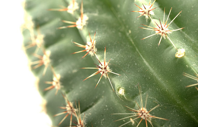 Similar image 1024619