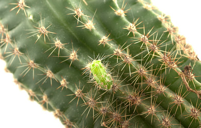 Similar image 1024624