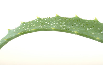 Similar image 1024634