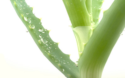 Similar image 1024637