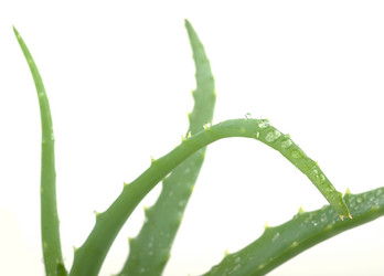 Similar image 1024638