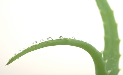 Similar image 1024639