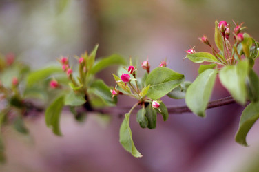 Similar image 1024677