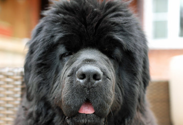 Similar image 1024679