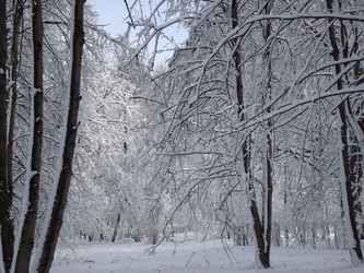 Similar image 1024683