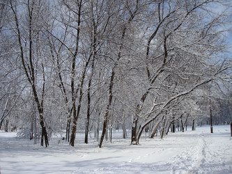 Similar image 1024684