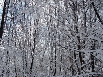 Similar image 1024685