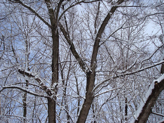 Similar image 1024686