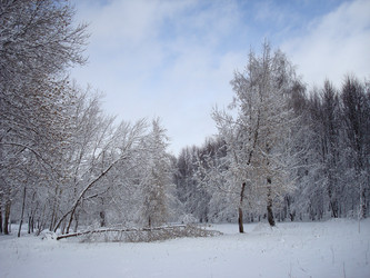 Similar image 1024687