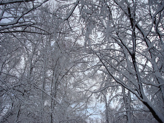 Similar image 1024688