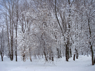 Similar image 1024689