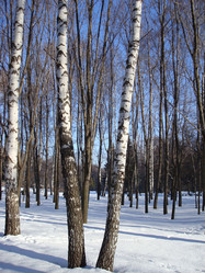 Similar image 1024690