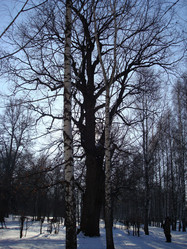 Similar image 1024693