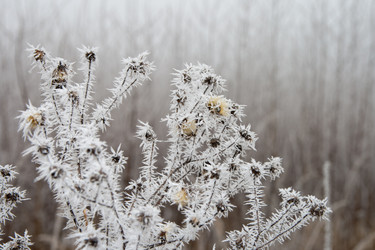 Similar image 1024696