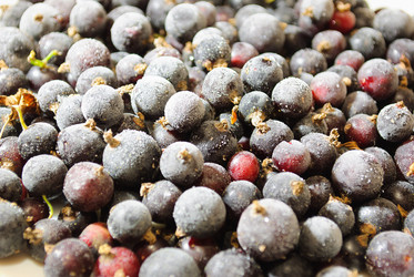 Similar image 1024706