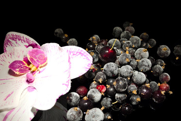 Similar image 1024707