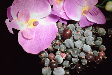 Similar image 1024708