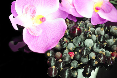 Similar image 1024709