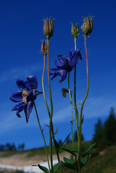 Similar image 1024743