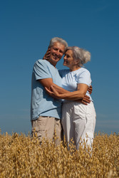 Similar image 1024865