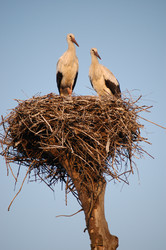 Similar image 1025016