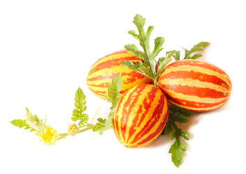 Similar image 1025171