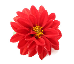 Similar image 1025181