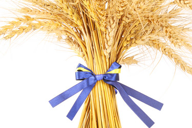 Similar image 1025217