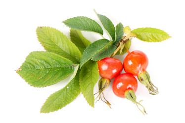 Similar image 1025223