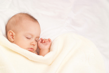 Similar image 1025230