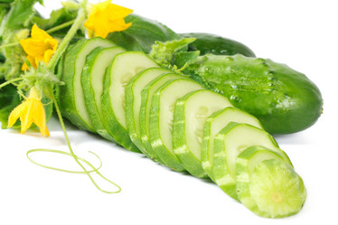 Similar image 1025237