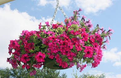 Similar image 1025306