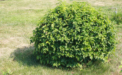 Similar image 1025309