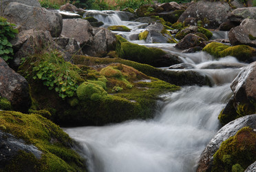 Similar image 1025424