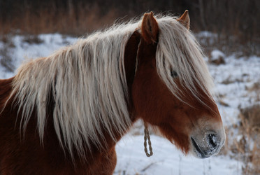 Similar image 1025431