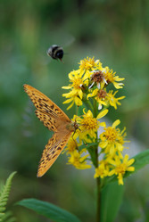 Similar image 1025438