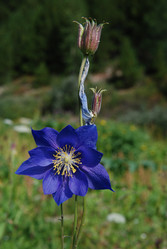 Similar image 1025439