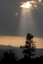 Similar image 1025452