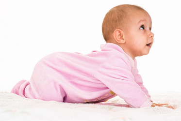 Similar image 1025683