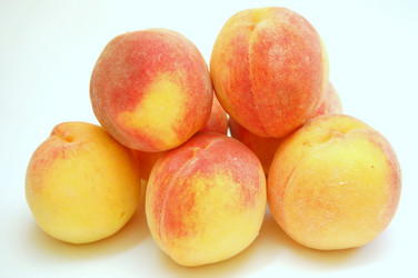 Similar image 1025766