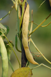 Similar image 1025775