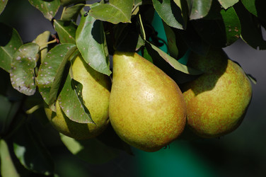 Similar image 1025941