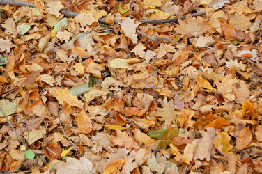 Similar image 1025944