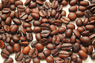 Similar image 1025948