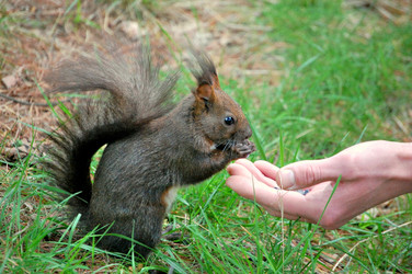 Similar image 1025950