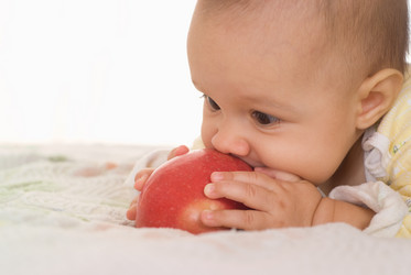 Similar image 1026018