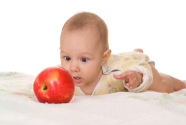 Similar image 1026019