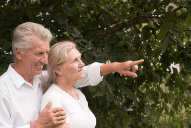 Similar image 1026099