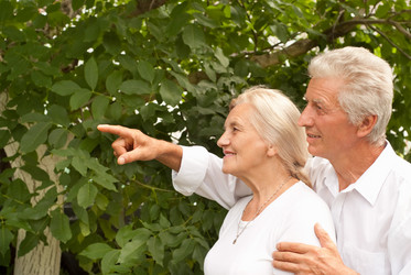 Similar image 1026100